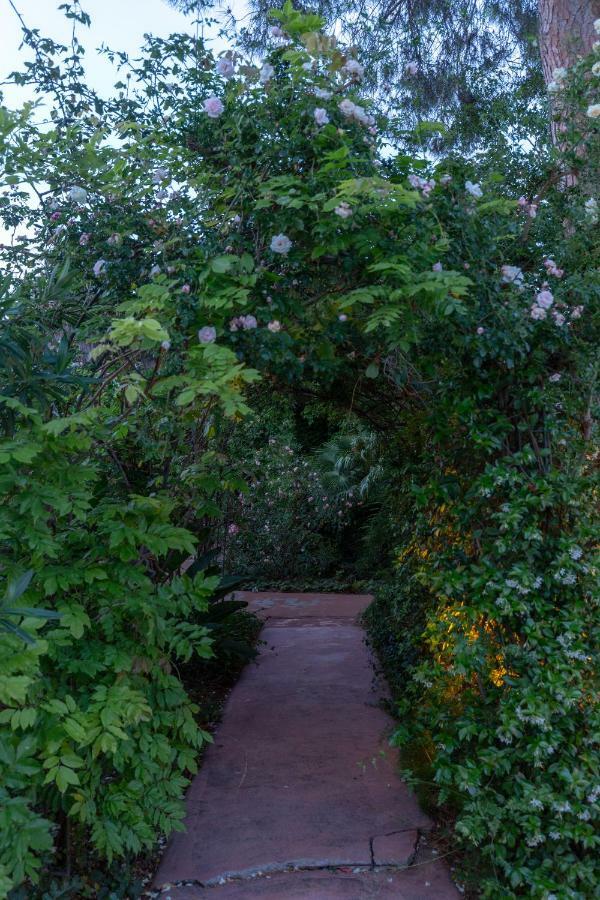 Il Giardino Di Michela By Domusicily Villa Mondello Exteriör bild
