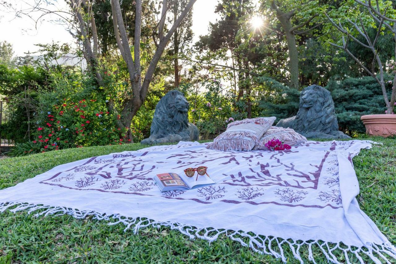 Il Giardino Di Michela By Domusicily Villa Mondello Exteriör bild